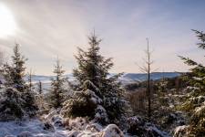 Cedric OSCHE - AuthenPik Studio