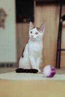 Kian YENNY - Kian Yenny