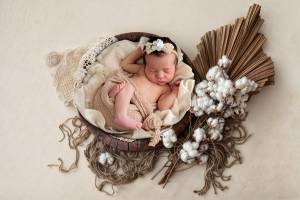 Alice BARRA - BARRHAUSS