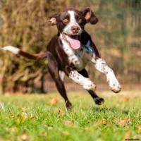 Julien SESIA - Julien-Sésia-Photographie©